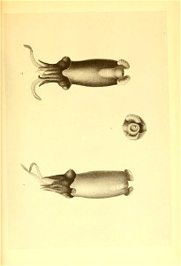 n172_w1150