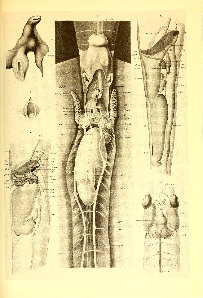 n124_w1150