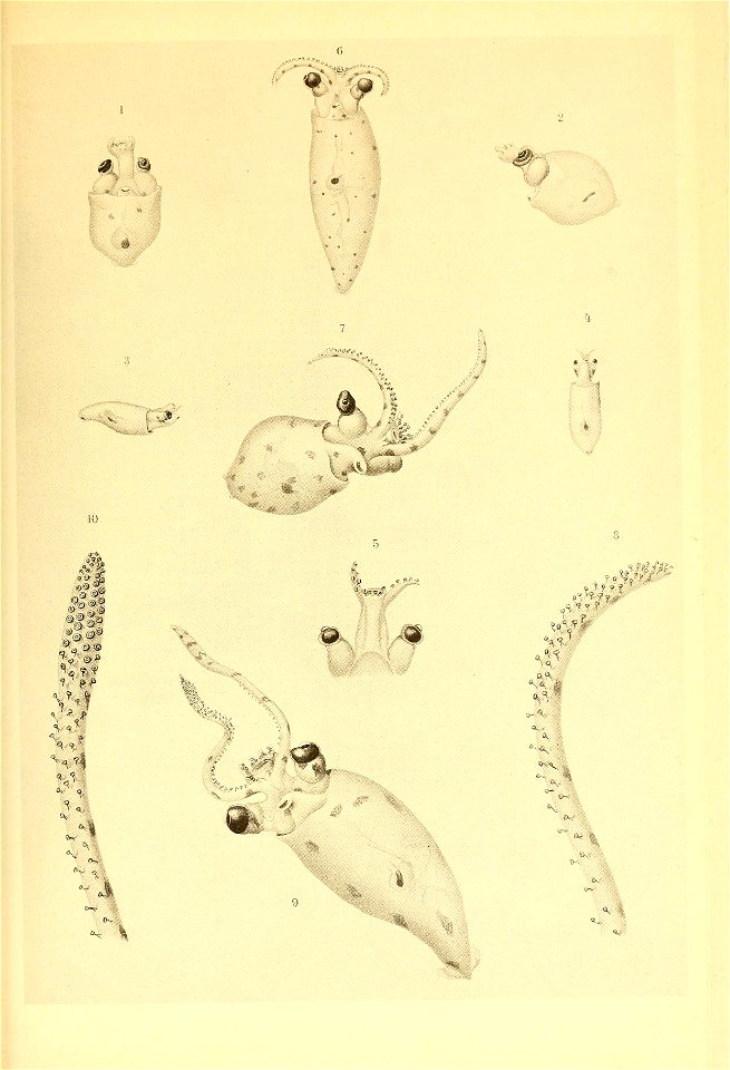 n162_w1150