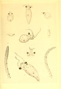 n162_w1150