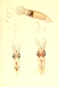 n14_w1150