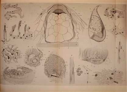 n118_w1150