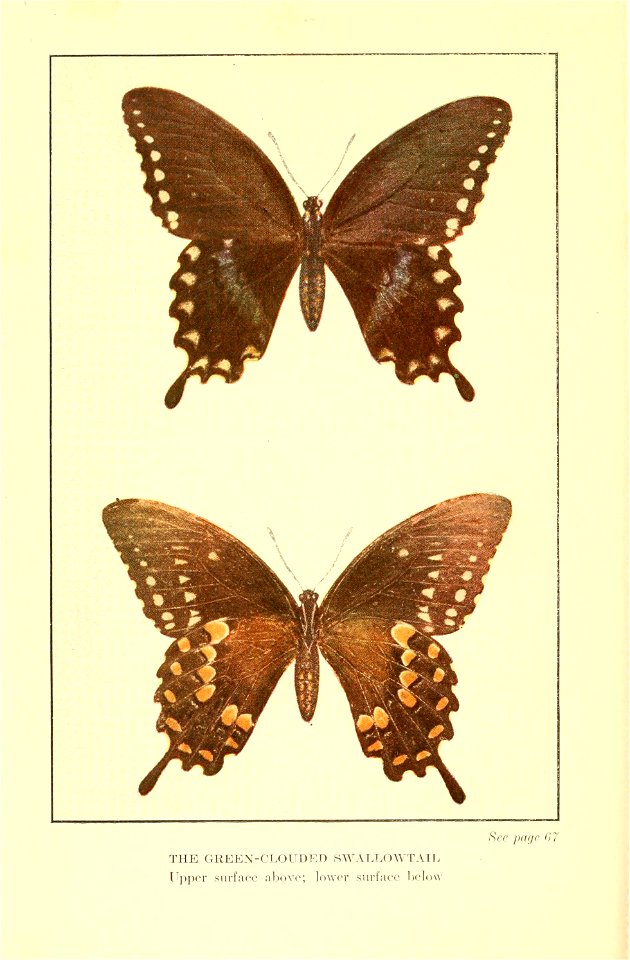 n103_w1150