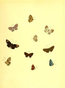 n116_w1150