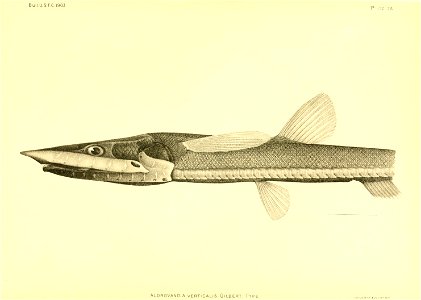 n68_w1150