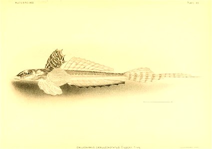 n132_w1150