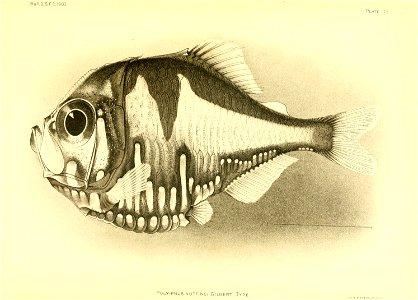 n62_w1150