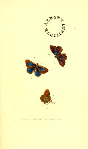 n262_w1150