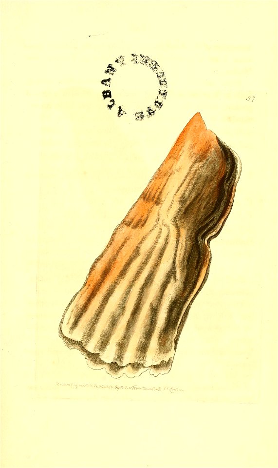 n248_w1150