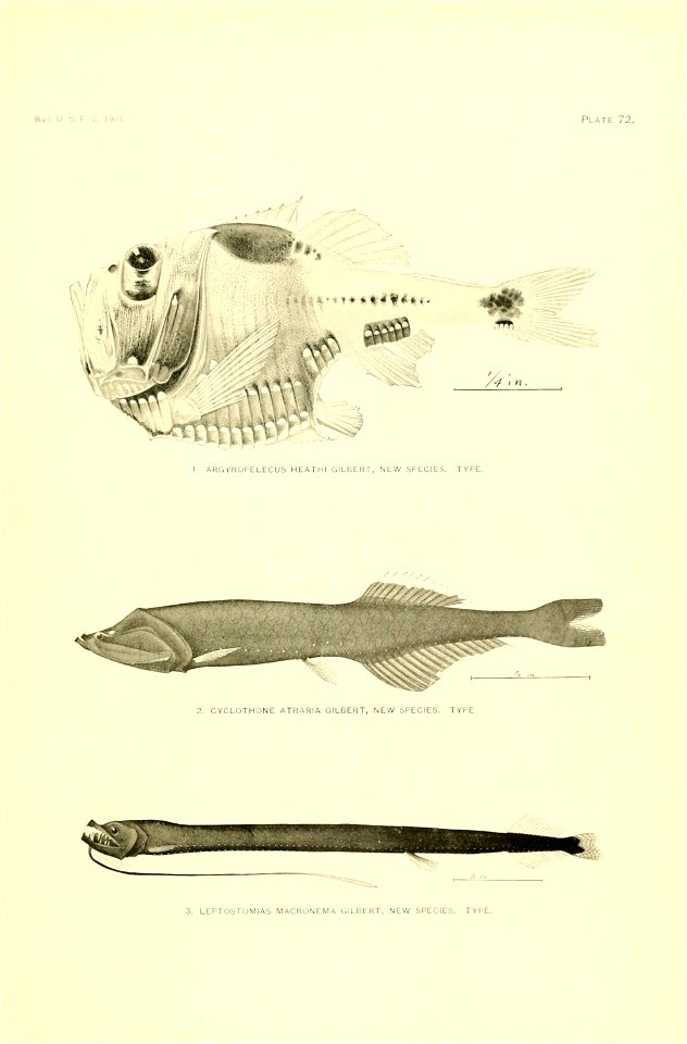 n56_w1150