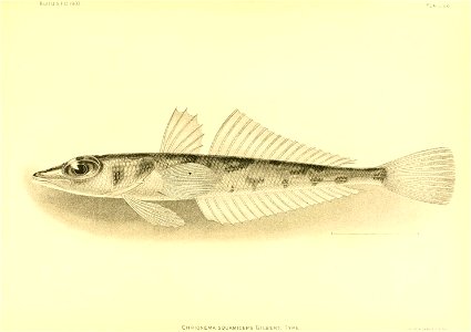 n124_w1150