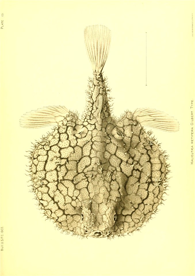 n204_w1150