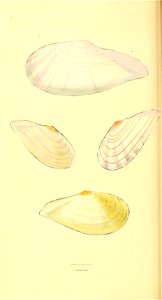 n129_w1150