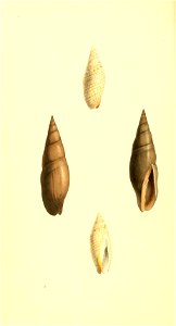 n39_w1150