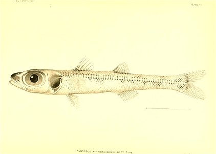 n82_w1150