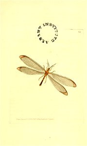 n196_w1150