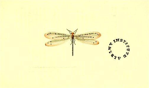 n134_w1150
