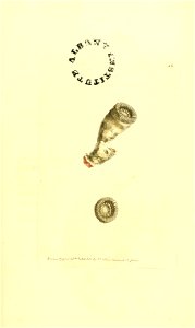 n256_w1150