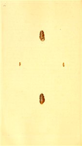 n397_w1150
