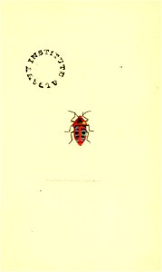 n68_w1150