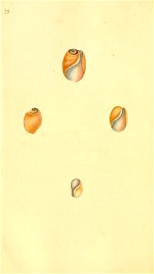 n393_w1150