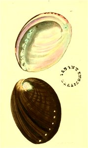 n253_w1150
