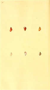 n453_w1150