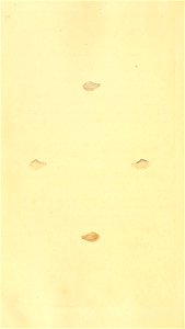 n389_w1150