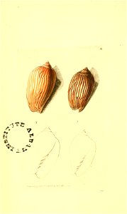 n59_w1150