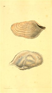n307_w1150