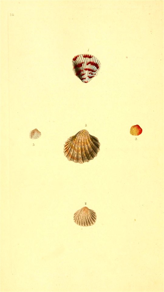 n163_w1150
