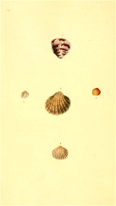 n163_w1150