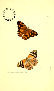 n52_w1150