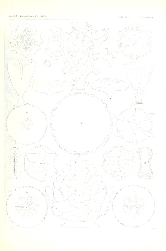 n50_w1150