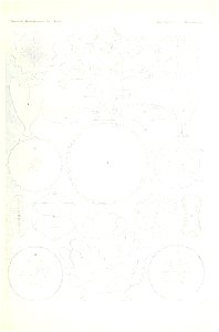 n50_w1150