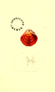 n146_w1150