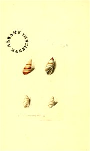 n81_w1150