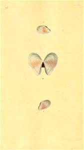 n469_w1150