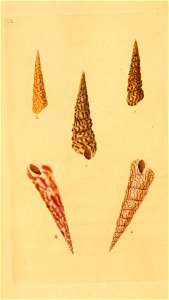 n121_w1150