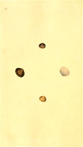 n465_w1150