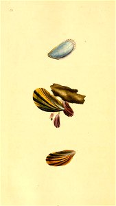 n401_w1150