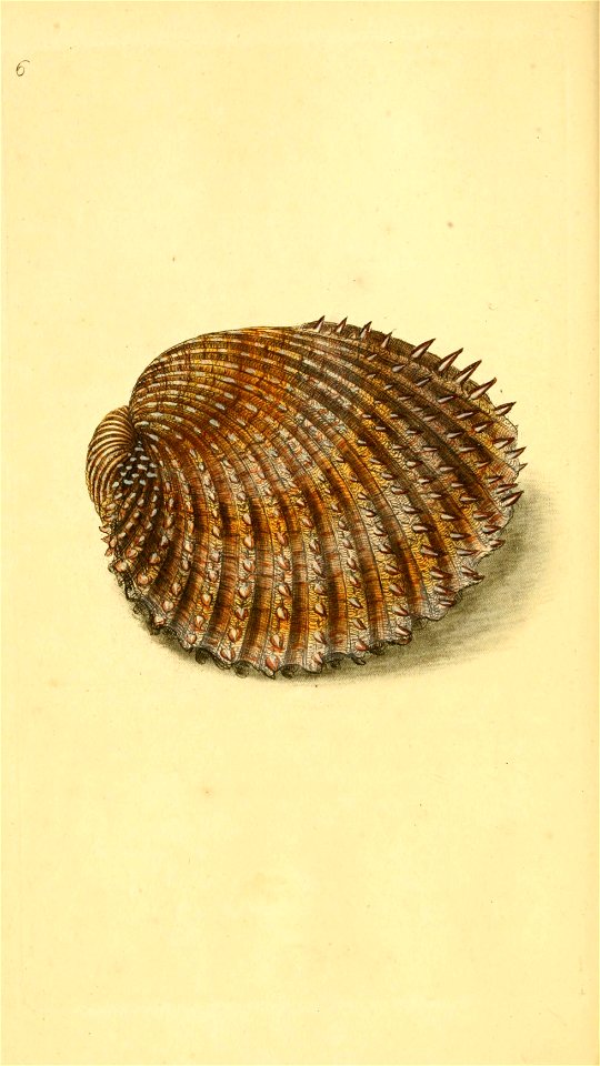 n49_w1150