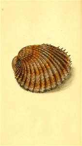n49_w1150