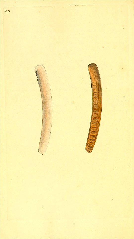 n257_w1150