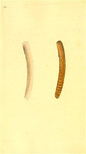 n257_w1150