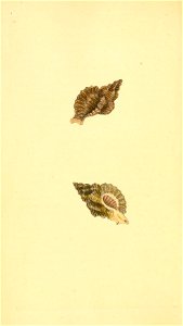 n179_w1150
