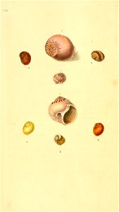 n111_w1150