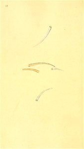 n249_w1150