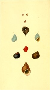 n169_w1150