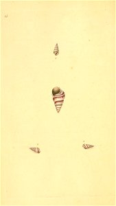 n103_w1150